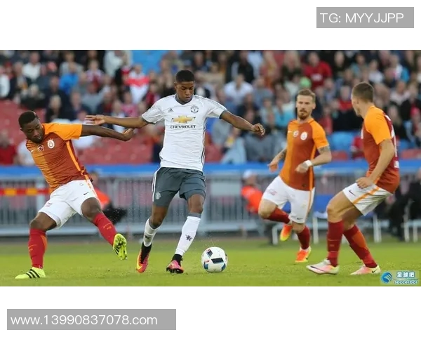 伊布帕尼尼足球卡收藏价值分析及未来市场前景探讨 伊布帕尼尼足球卡收藏价值分析及未来市场前景探讨